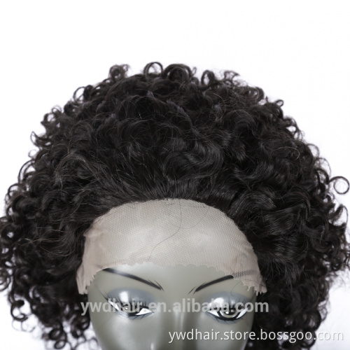 8-26inch Full Lace Human Hair Wigs Curly human hair wigs for black women Lace Front Wigs